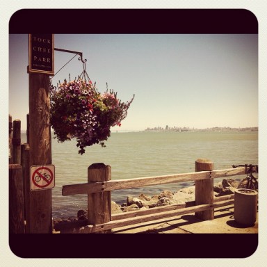 Sausalito View
