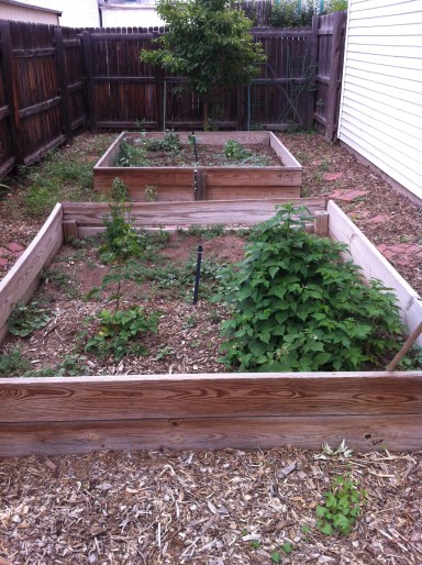 Growing welcome baskets planted by our landlords
