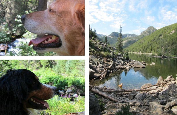 Lava Lake Collage 001