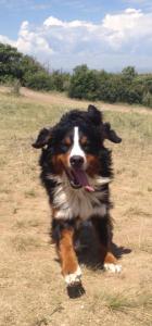 208928_10101139455808278_1568456907_n