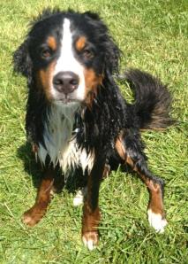 481359_10101139455523848_1619677537_n