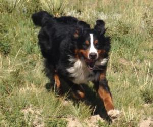 533472_10101139454835228_1857451857_n