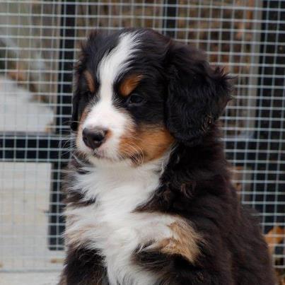 555107_10100949101055728_281888605_n