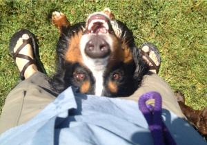 598508_10101139455194508_754280172_n