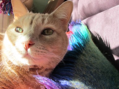 Mr. Griffin basking in the sun