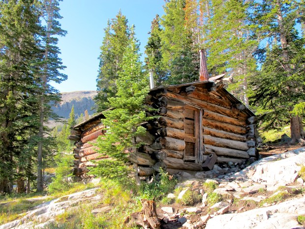 Cabin turned emergency shelter