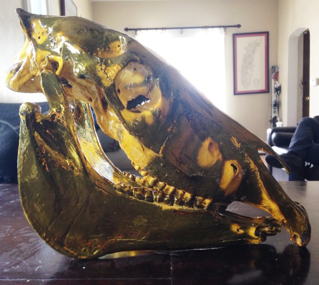 This is obviously a chrome-plated zebra skull from Jim Fowler plated with a new chroming technology that is less toxic for the environment. Duh.