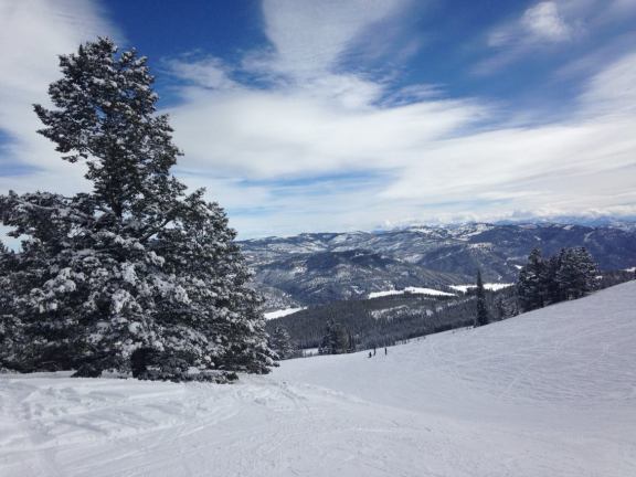 1891616_10102510869633978_520255160_o