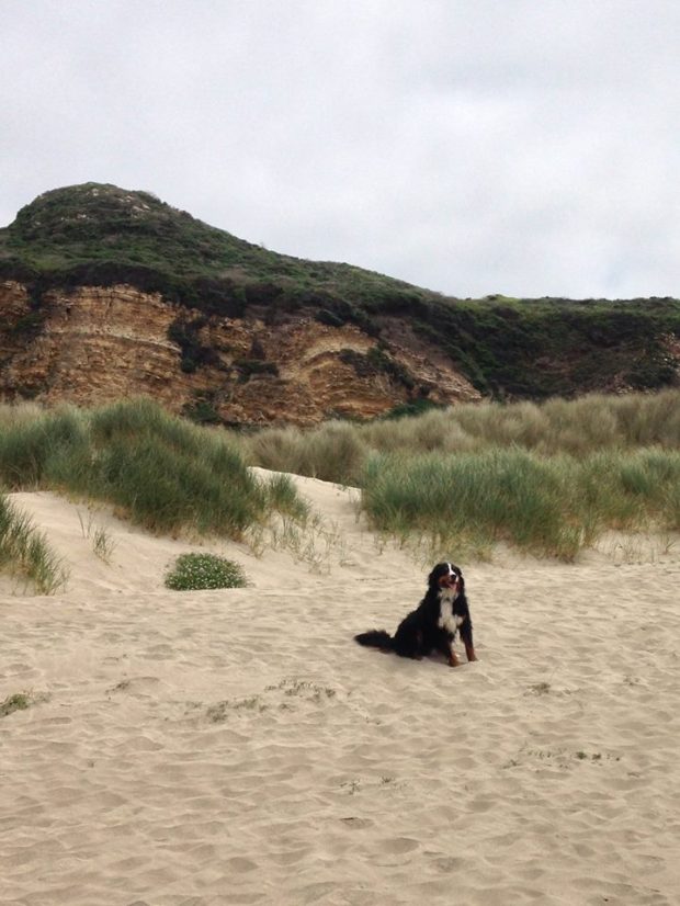 10152000_10102599702582038_6647310669441480657_n