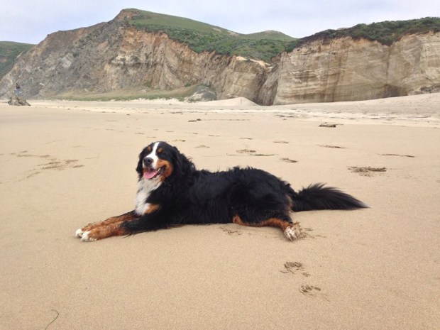 10157346_10102599698475268_8918550237576991060_n