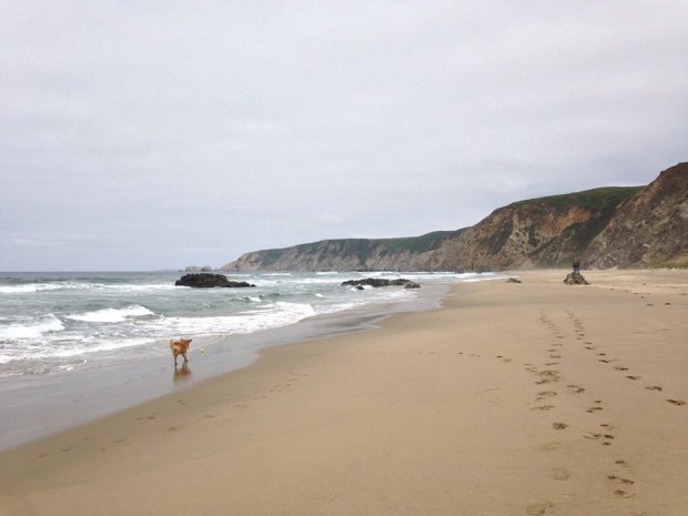 10171148_10102599702911378_4882644559955555924_n