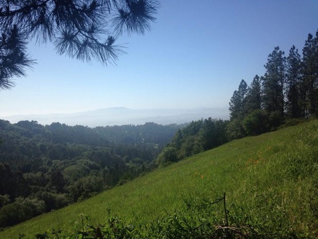 10252140_10102603286160518_823857467453089298_n