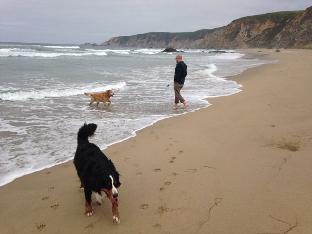 10253927_10102599698869478_3990595835308956529_n