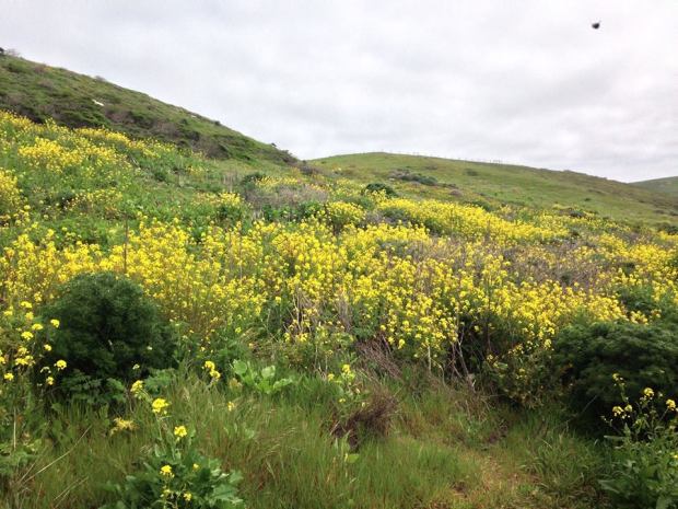 1378803_10102599701768668_8631827047792434946_n