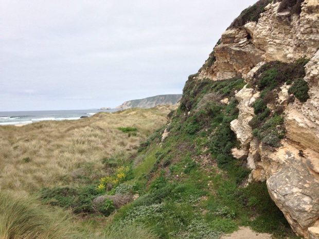 1535432_10102599702177848_6890277531105360803_n