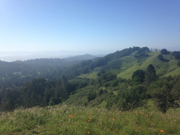 1538641_10102603286350138_5517060649845359000_n