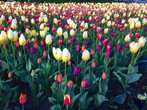 10014804_10102701143907808_4525189690713152479_o