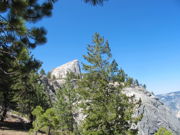 It was such a tease to have hiked 8 or 9 mile at this point and still be so far from the top.