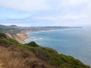 10428236_10102884638802568_4720592597882620066_o