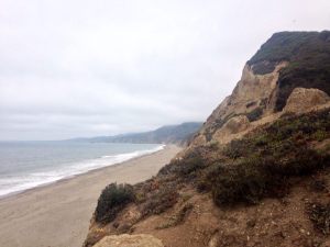 10465236_10102884638573028_8467615997079693209_o