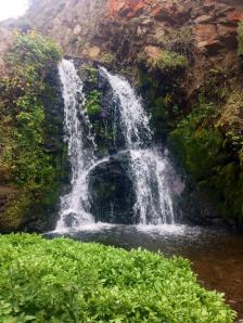 10498484_10102884638587998_6501406518064574927_o