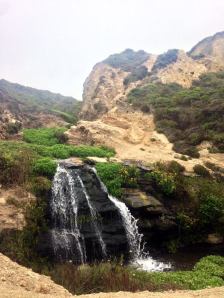 1655174_10102884638568038_8155367099272913395_o