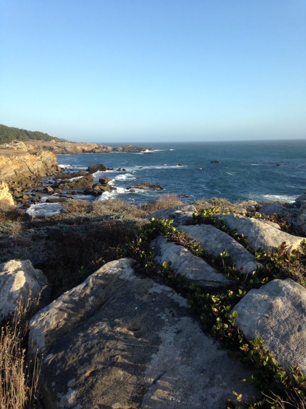 10317591_10103039974264058_4337181241153026621_o