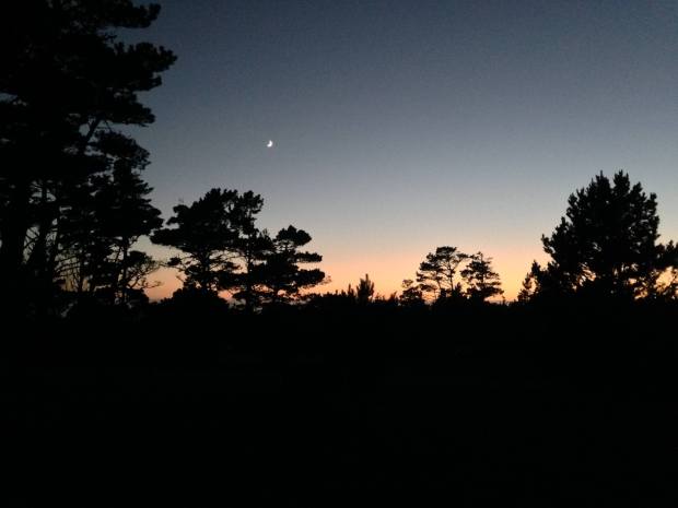 10452907_10103039974259068_1549129963689493032_o