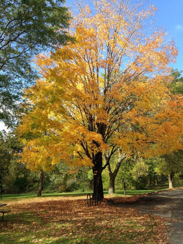 10631076_10103055830702628_3067664963089520462_o